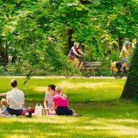 a family enjoying a picnic day (1)
